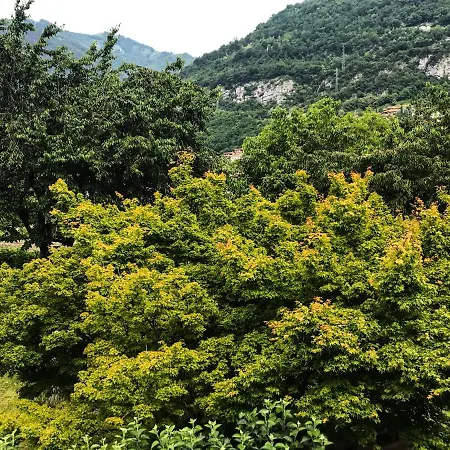 וילה As Campo Marzio